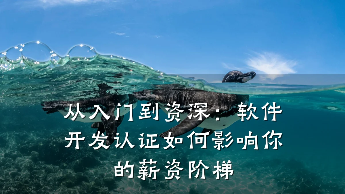 从入门到资深：软件开发认证如何影响你的薪资阶梯