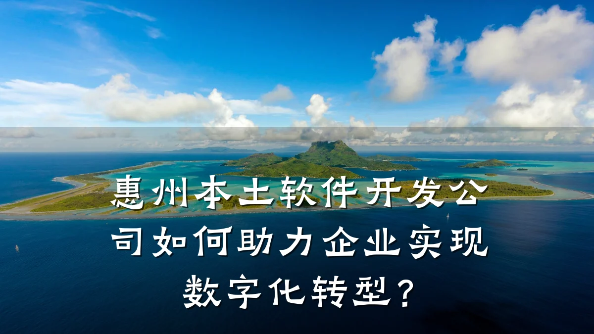 惠州本土软件开发公司如何助力企业实现数字化转型？