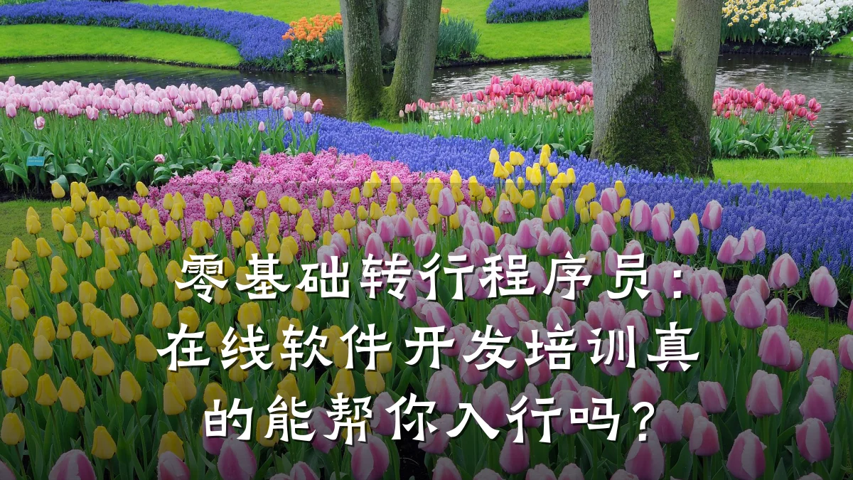 零基础转行程序员：在线软件开发培训真的能帮你入行吗？