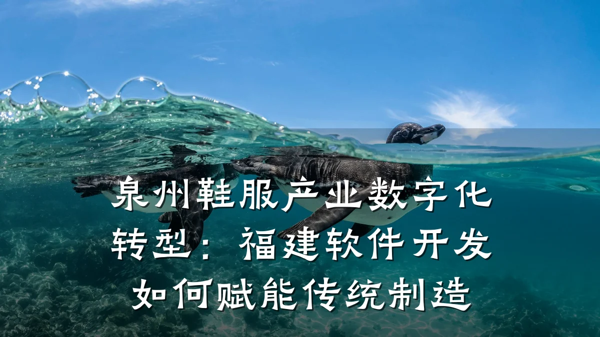 泉州鞋服产业数字化转型：福建软件开发如何赋能传统制造