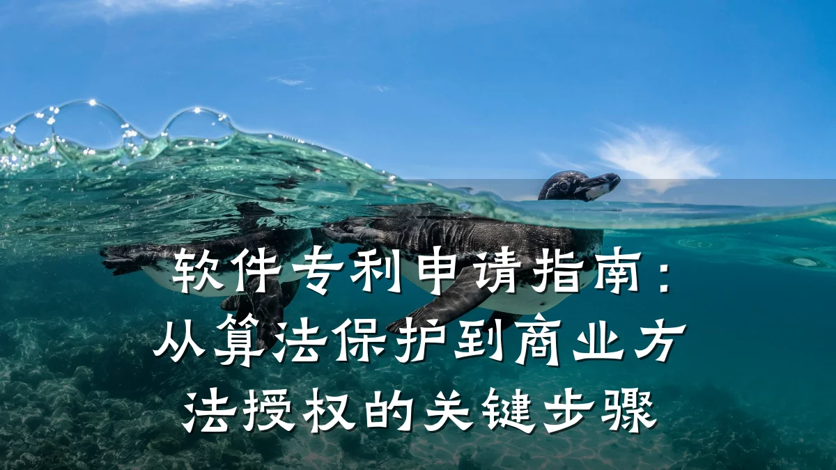 软件专利申请指南：从算法保护到商业方法授权的关键步骤