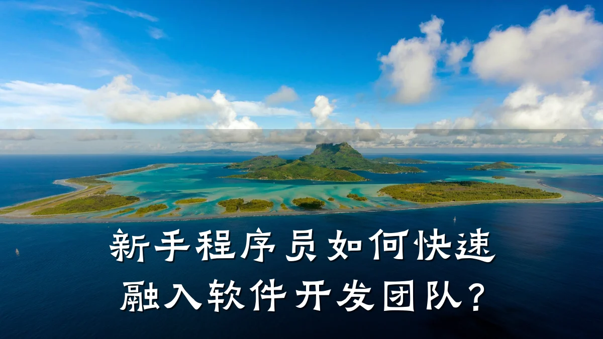 新手程序员如何快速融入软件开发团队？