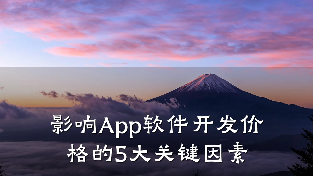影响App软件开发价格的5大关键因素