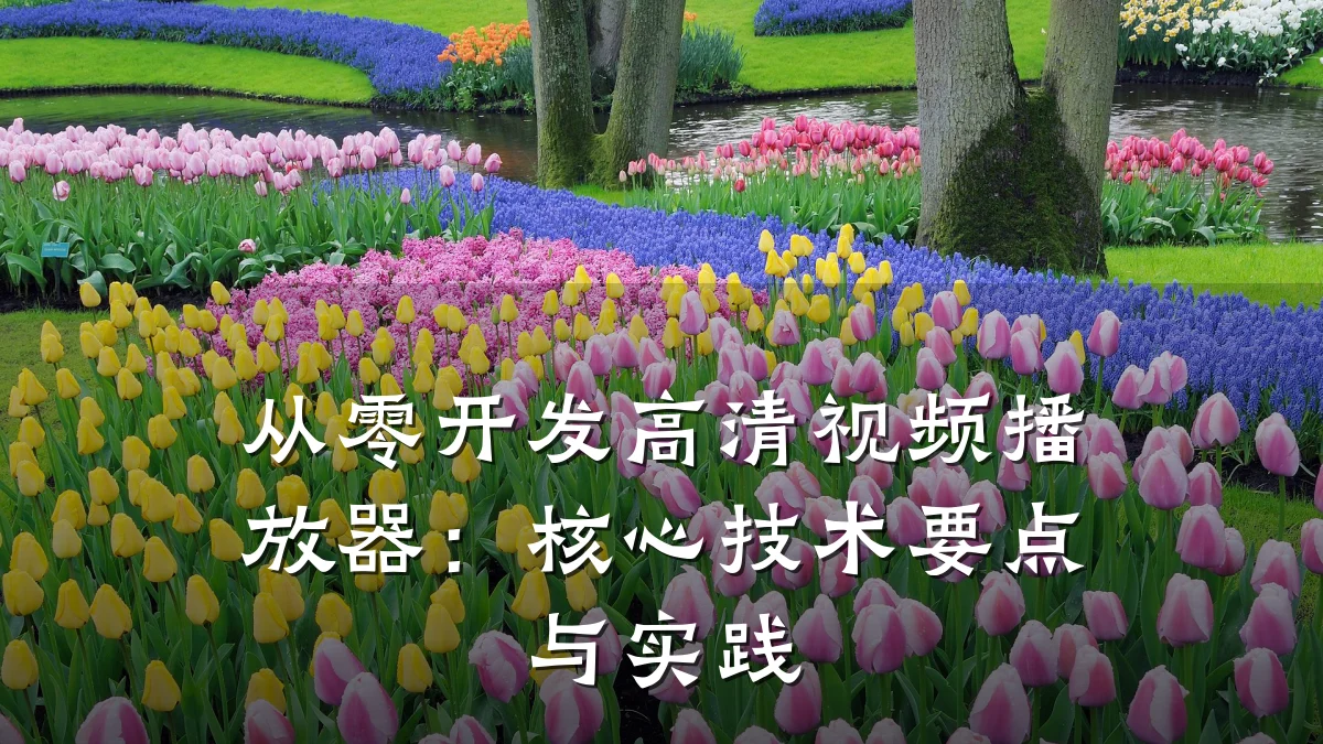 从零开发高清视频播放器：核心技术要点与实践