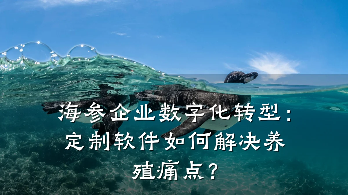 海参企业数字化转型：定制软件如何解决养殖痛点？