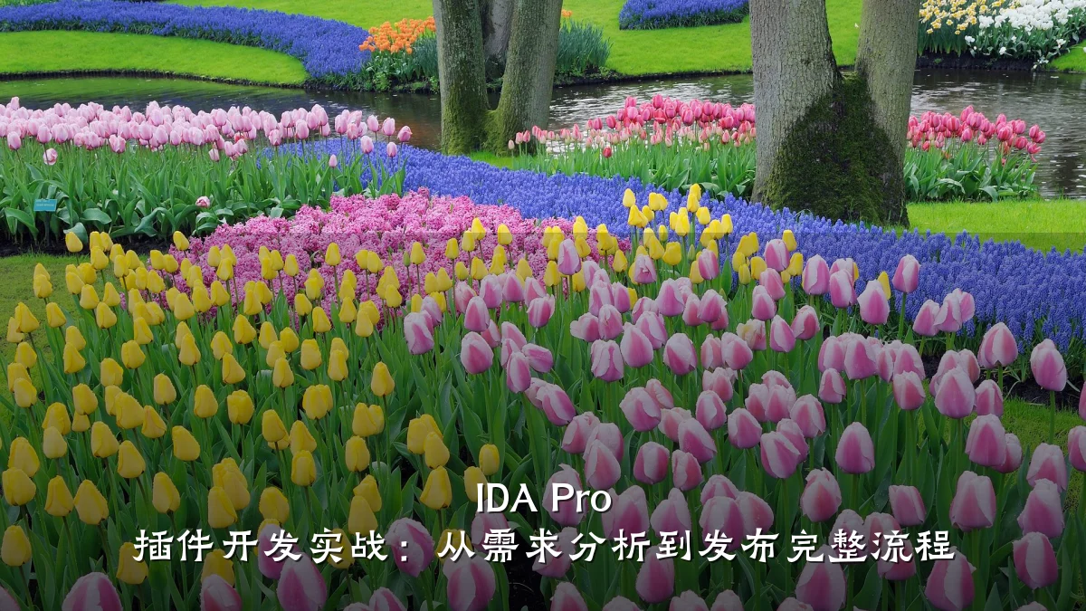IDA Pro 插件开发实战：从需求分析到发布完整流程