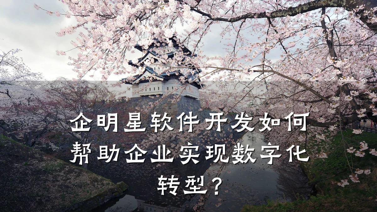 企明星软件开发如何帮助企业实现数字化转型？