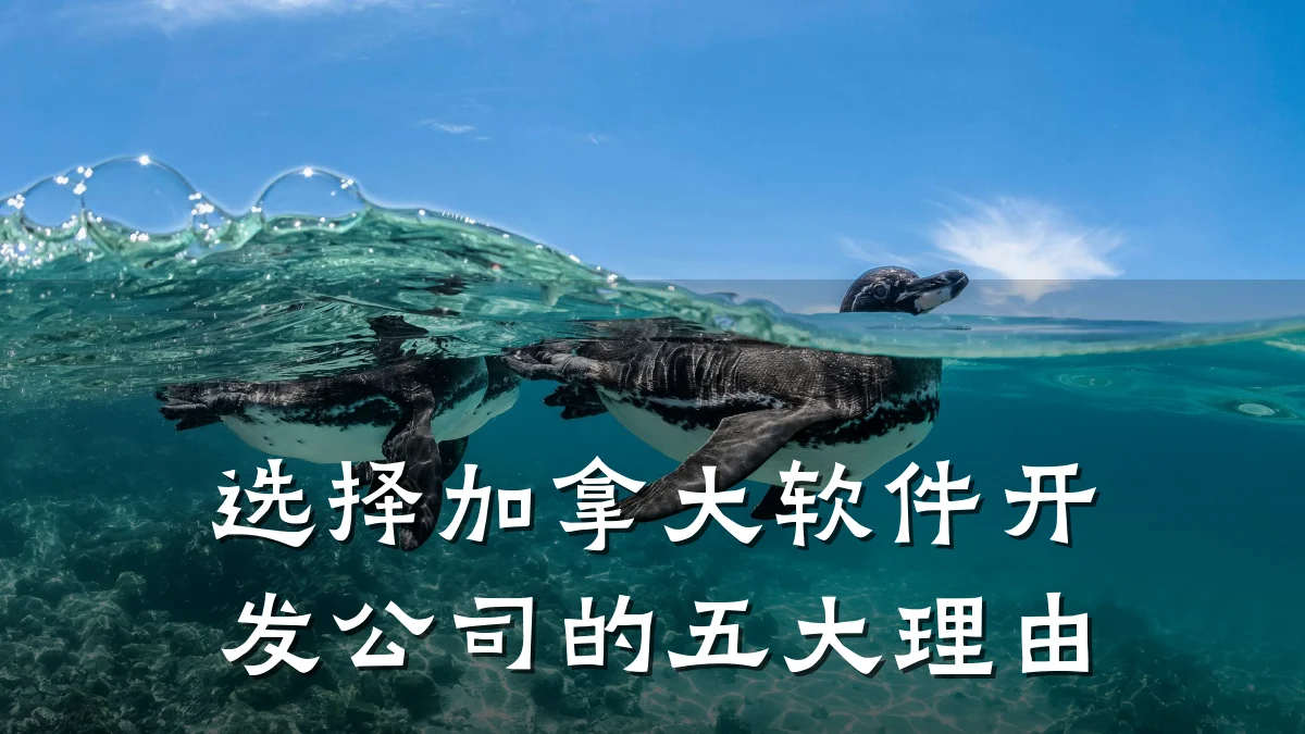选择加拿大软件开发公司的五大理由