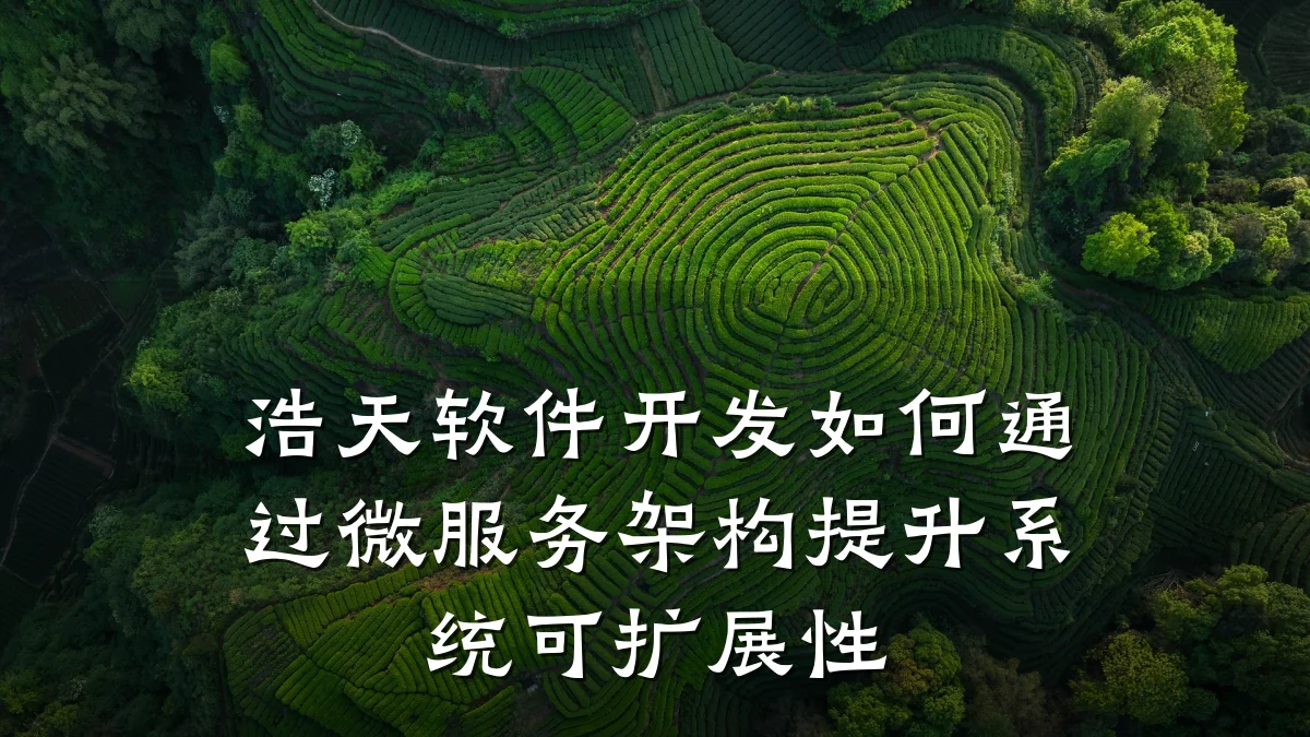 浩天软件开发如何通过微服务架构提升系统可扩展性