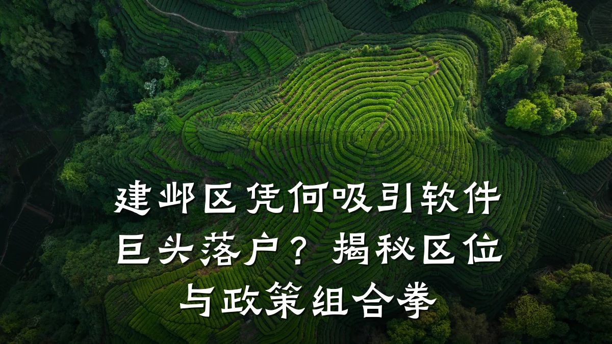 建邺区凭何吸引软件巨头落户？揭秘区位与政策组合拳