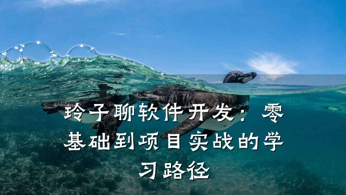 玲子聊软件开发：零基础到项目实战的学习路径