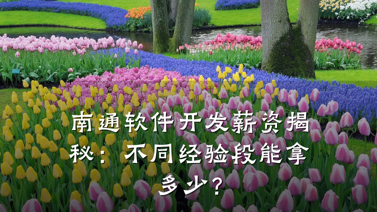 南通软件开发薪资揭秘：不同经验段能拿多少？