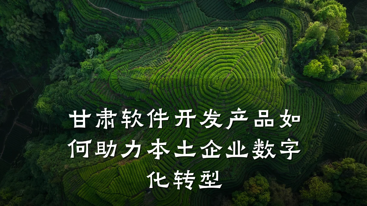 甘肃软件开发产品如何助力本土企业数字化转型