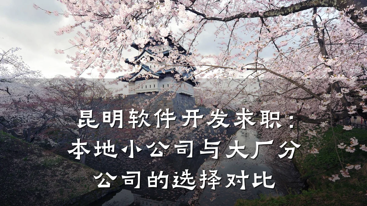 昆明软件开发求职：本地小公司与大厂分公司的选择对比