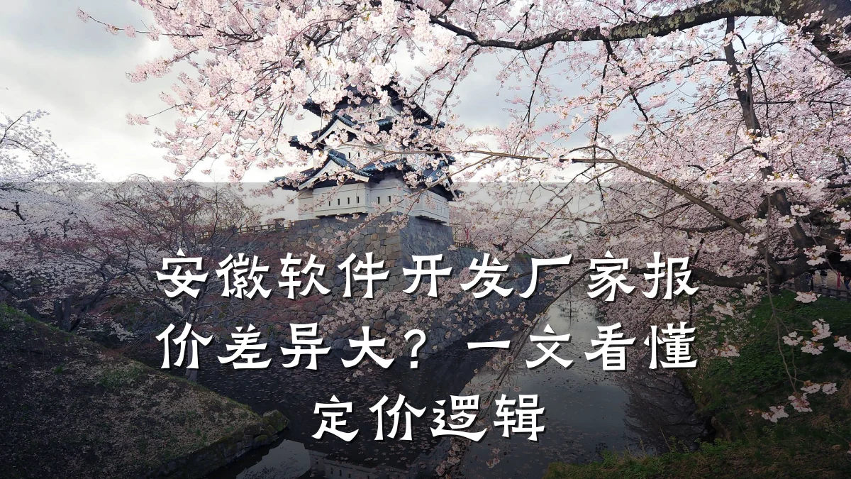 安徽软件开发厂家报价差异大？一文看懂定价逻辑