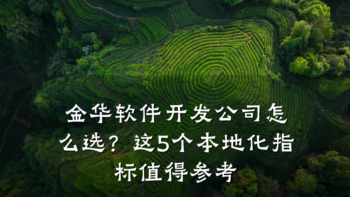 金华软件开发公司怎么选？这5个本地化指标值得参考