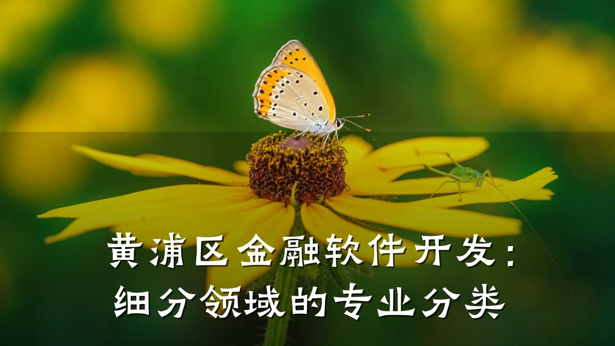 黄浦区金融软件开发：细分领域的专业分类