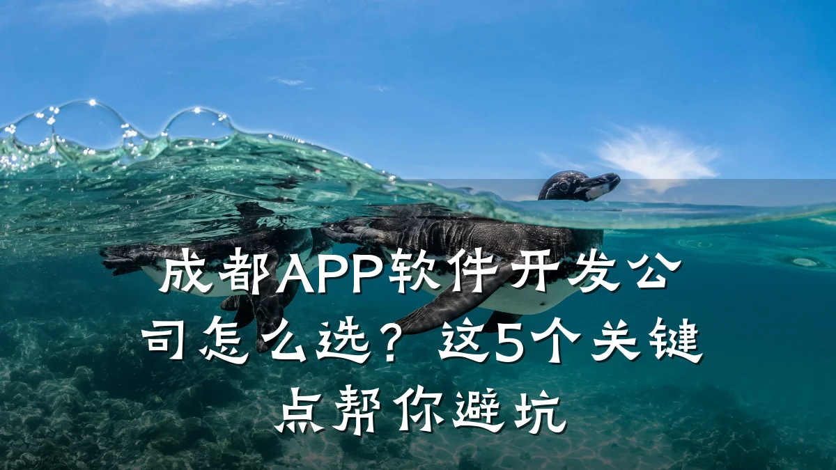 成都APP软件开发公司怎么选?这5个关键点帮你避坑