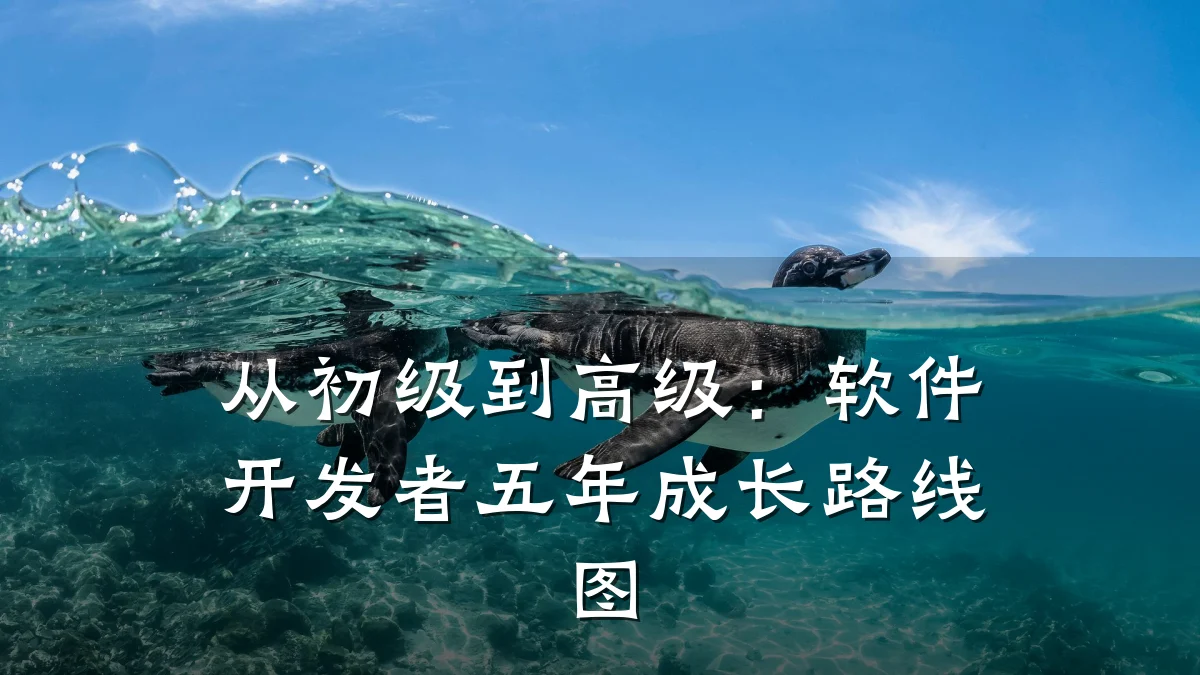从初级到高级:软件开发者五年成长路线图