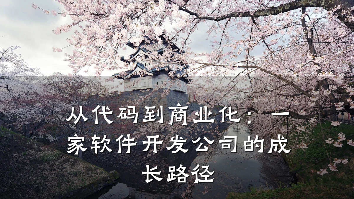 从代码到商业化:一家软件开发公司的成长路径