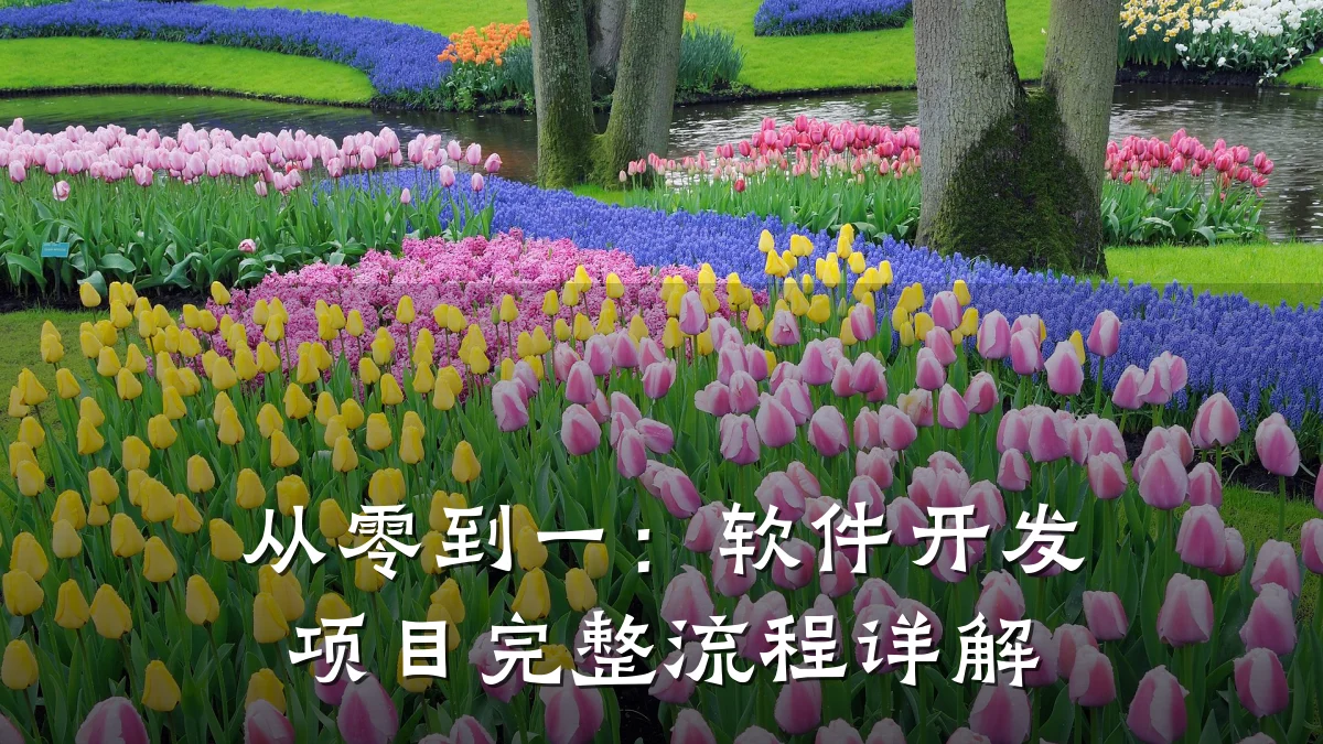 从零到一:软件开发项目完整流程详解