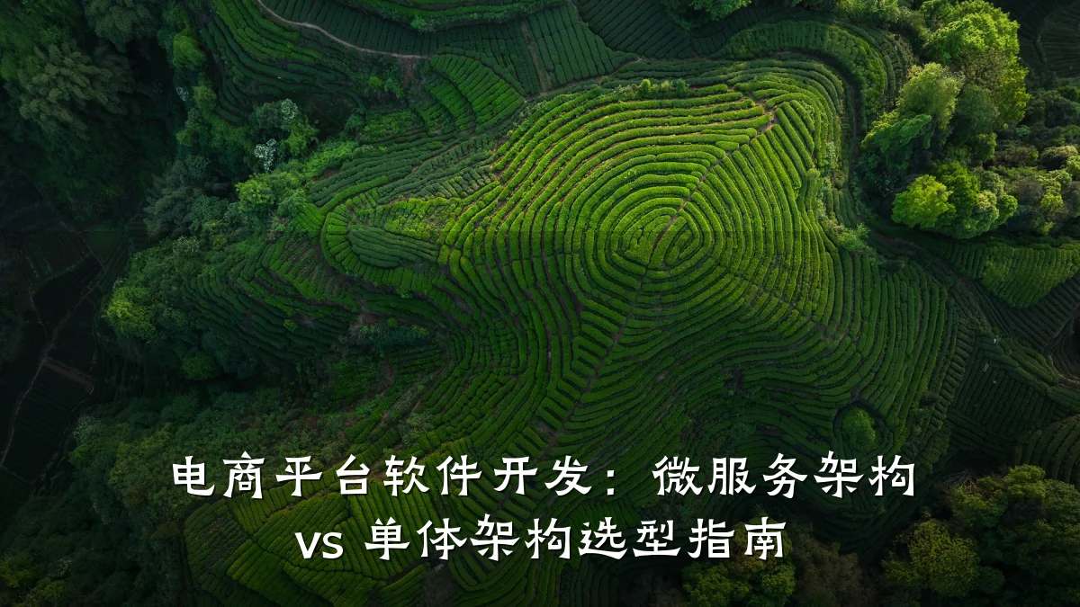 电商平台软件开发:微服务架构 vs 单体架构选型指南