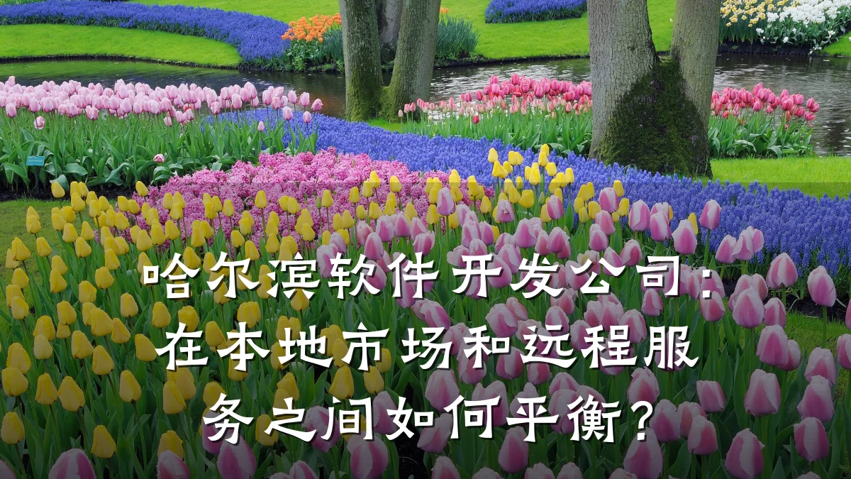 哈尔滨软件开发公司:在本地市场和远程服务之间如何平衡?