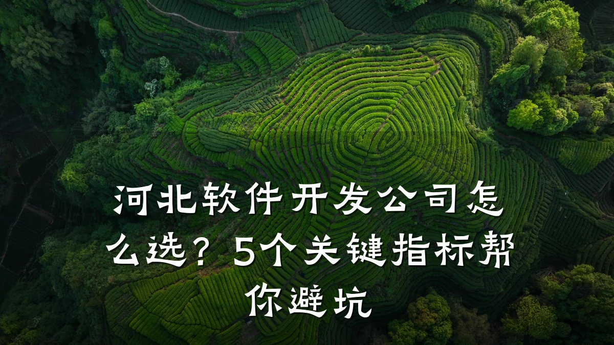 河北软件开发公司怎么选?5个关键指标帮你避坑