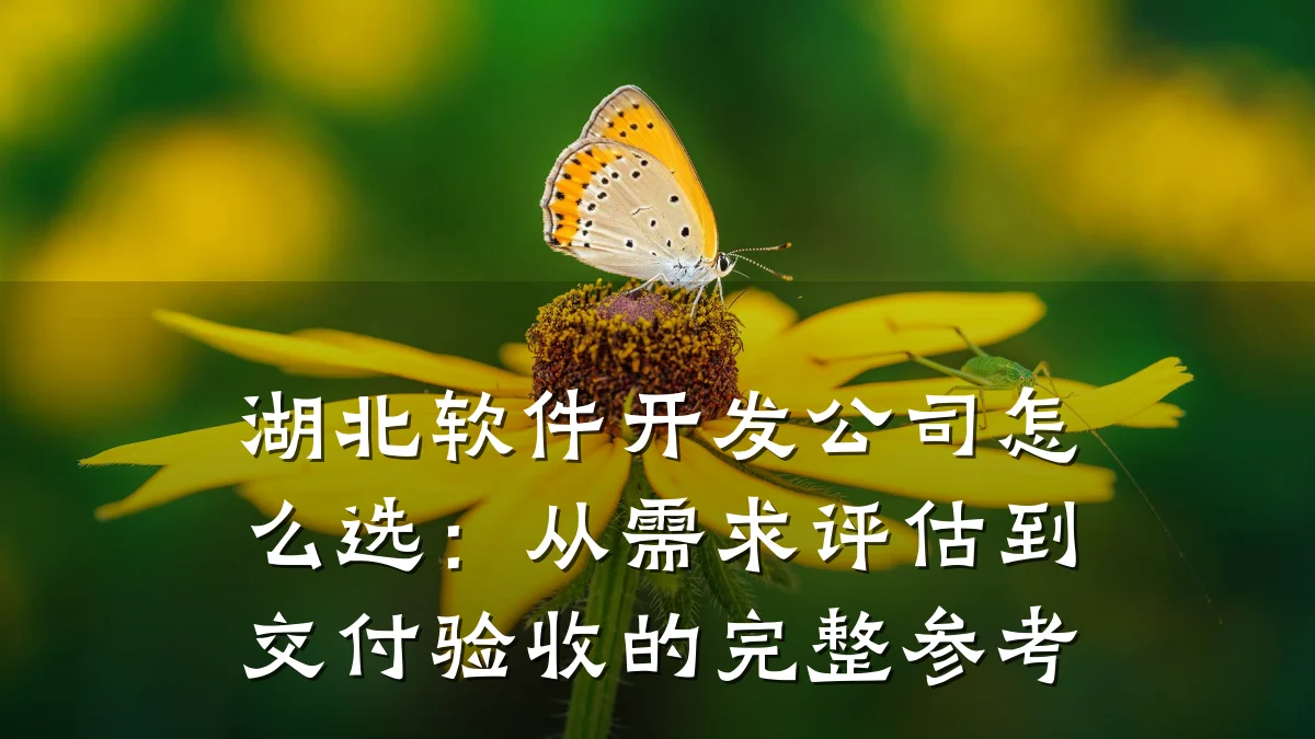 湖北软件开发公司怎么选:从需求评估到交付验收的完整参考