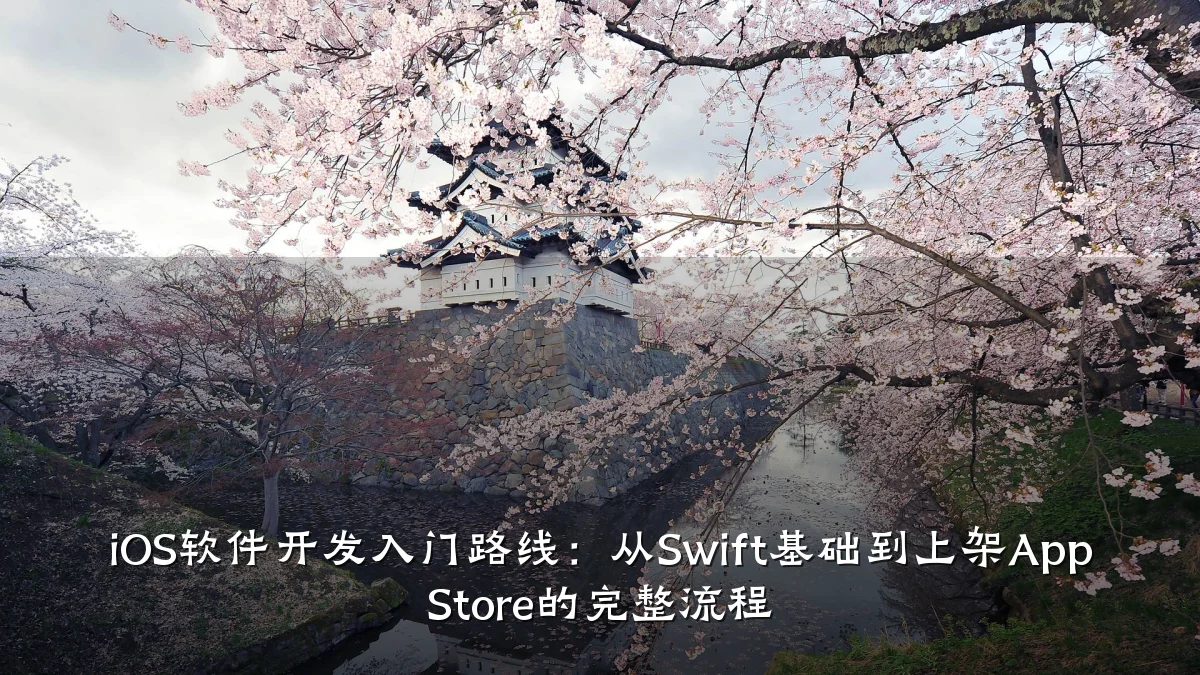 iOS软件开发入门路线:从Swift基础到上架App Store的完整流程