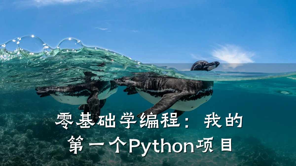 零基础学编程:我的第一个Python项目