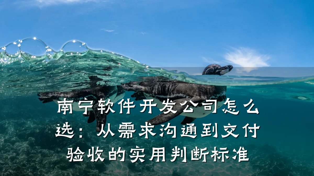南宁软件开发公司怎么选:从需求沟通到交付验收的实用判断标准