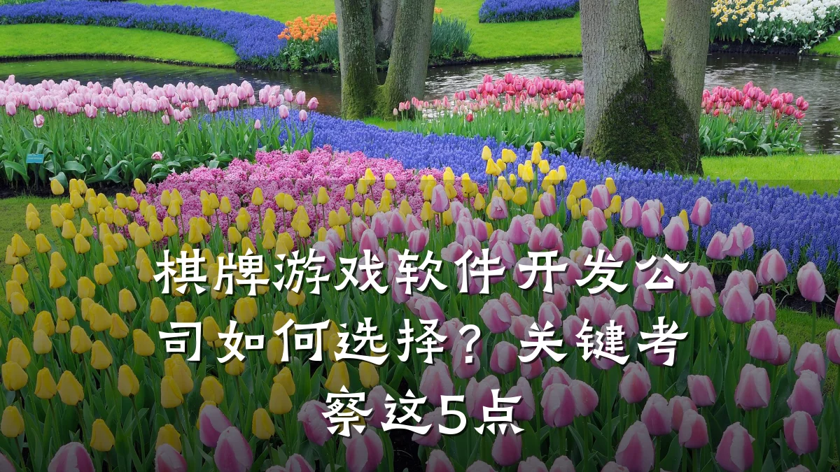 棋牌游戏软件开发公司如何选择?关键考察这5点