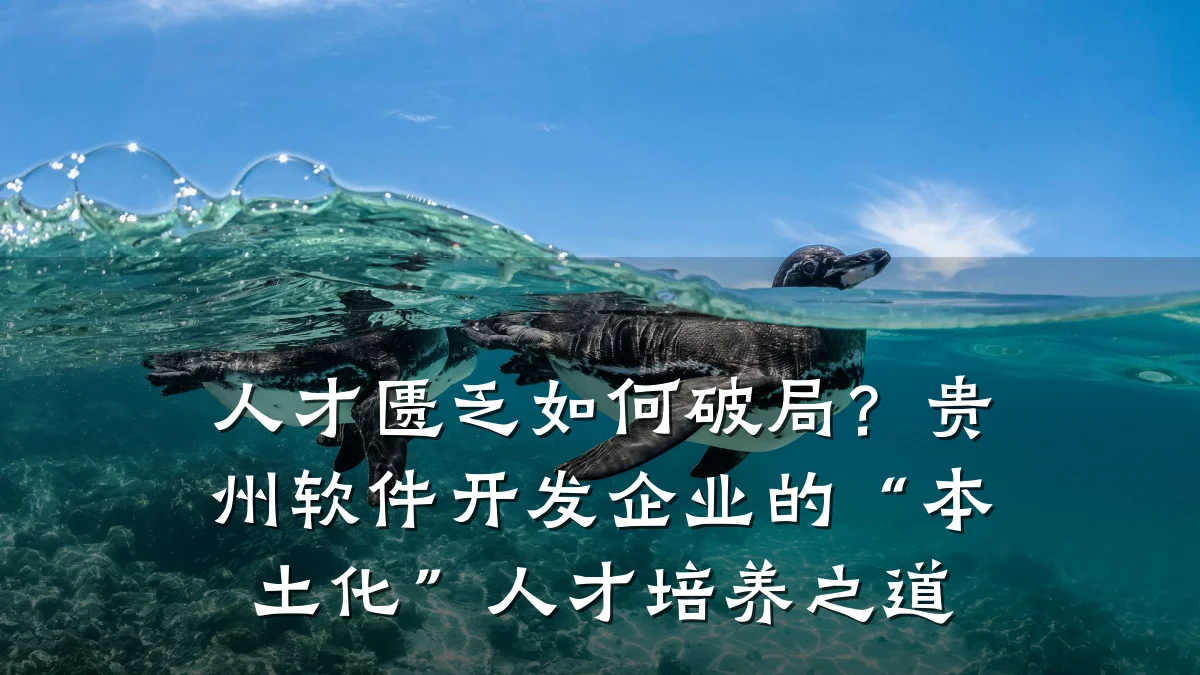 人才匮乏如何破局？贵州软件开发企业的“本土化”人才培养之道