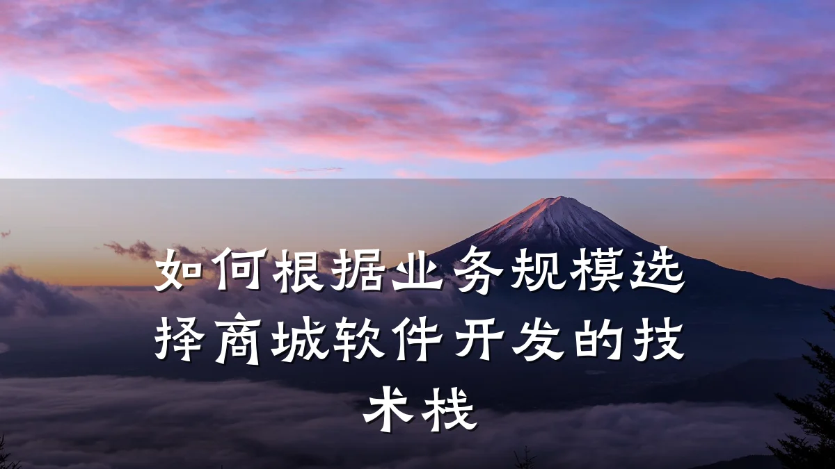 如何根据业务规模选择商城软件开发的技术栈