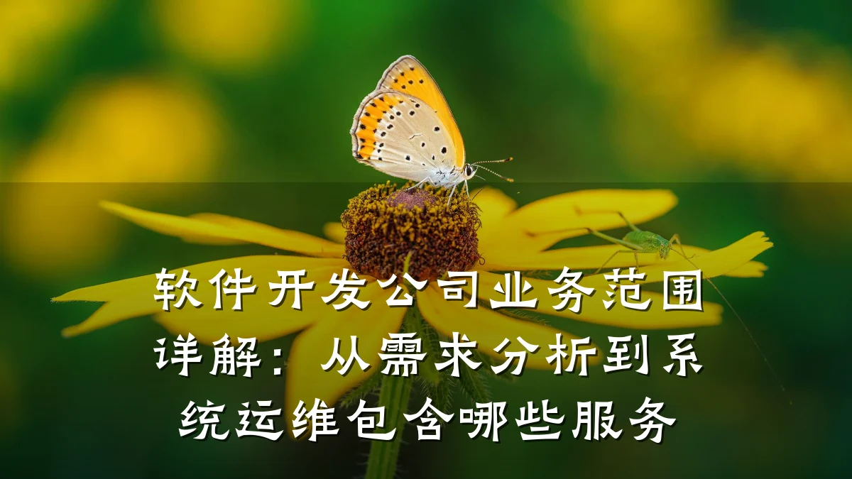 软件开发公司业务范围详解:从需求分析到系统运维包含哪些服务
