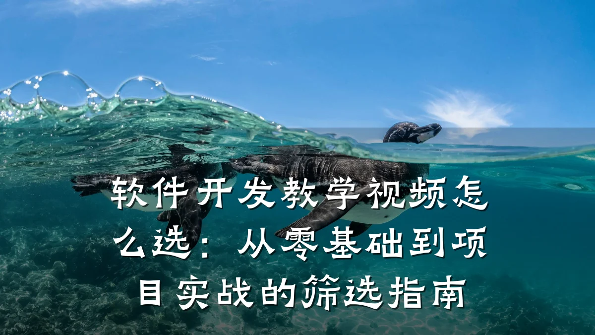 软件开发教学视频怎么选：从零基础到项目实战的筛选指南