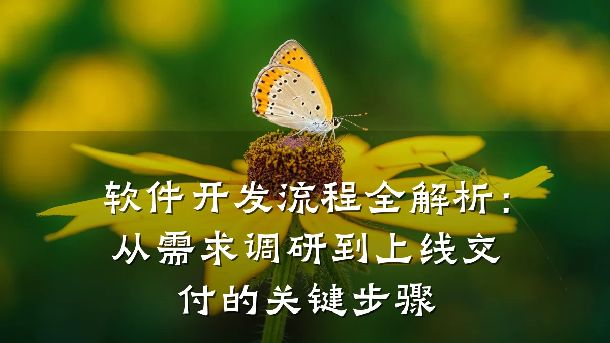 软件开发流程全解析：从需求调研到上线交付的关键步骤