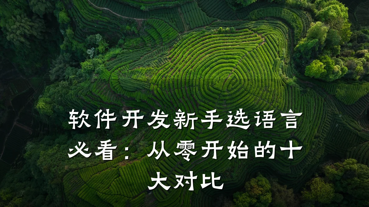 软件开发新手选语言必看：从零开始的十大对比