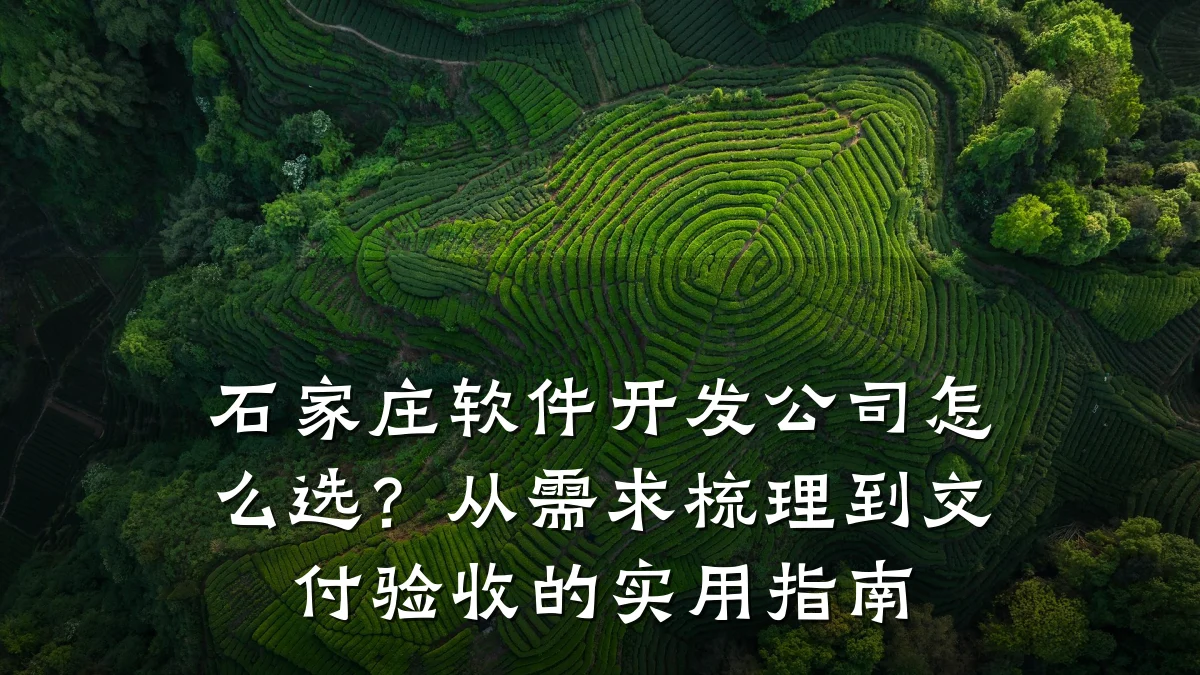 石家庄软件开发公司怎么选？从需求梳理到交付验收的实用指南