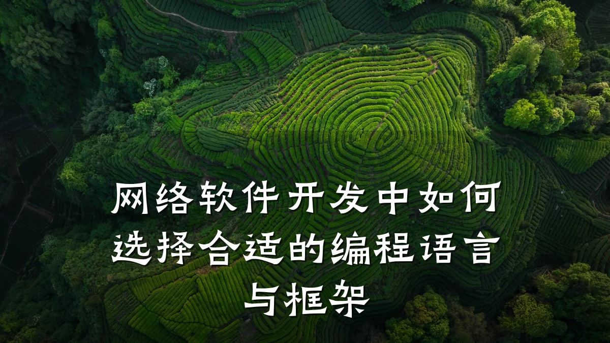 网络软件开发中如何选择合适的编程语言与框架