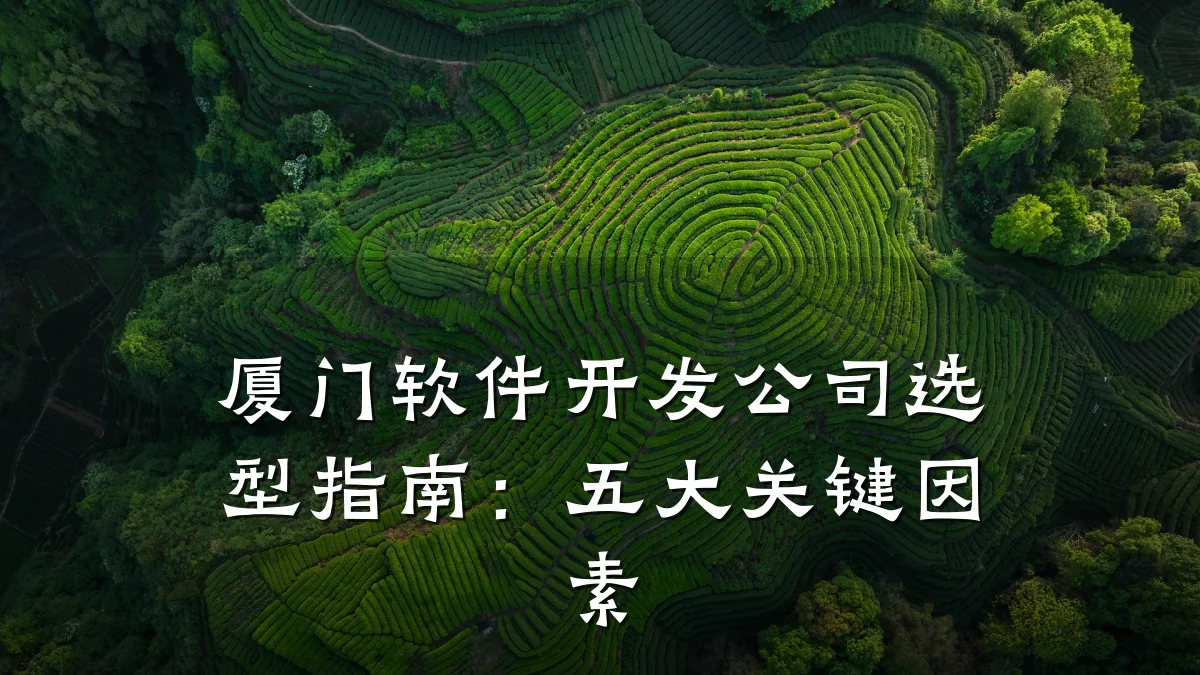 厦门软件开发公司选型指南:五大关键因素