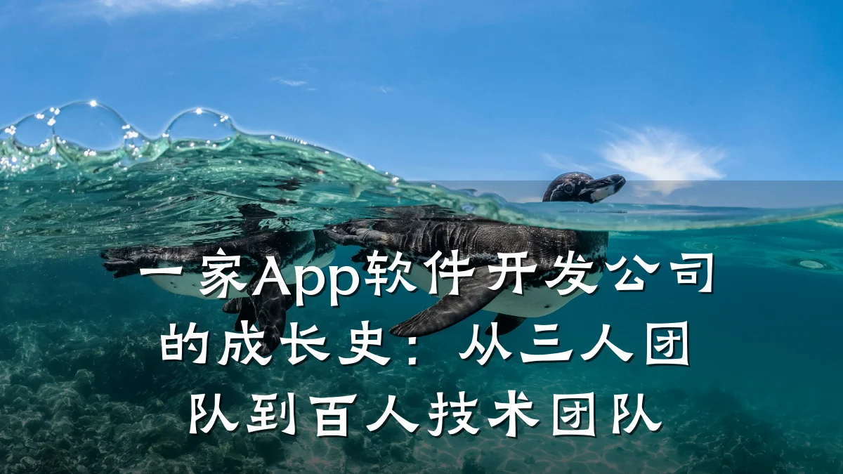 一家App软件开发公司的成长史:从三人团队到百人技术团队