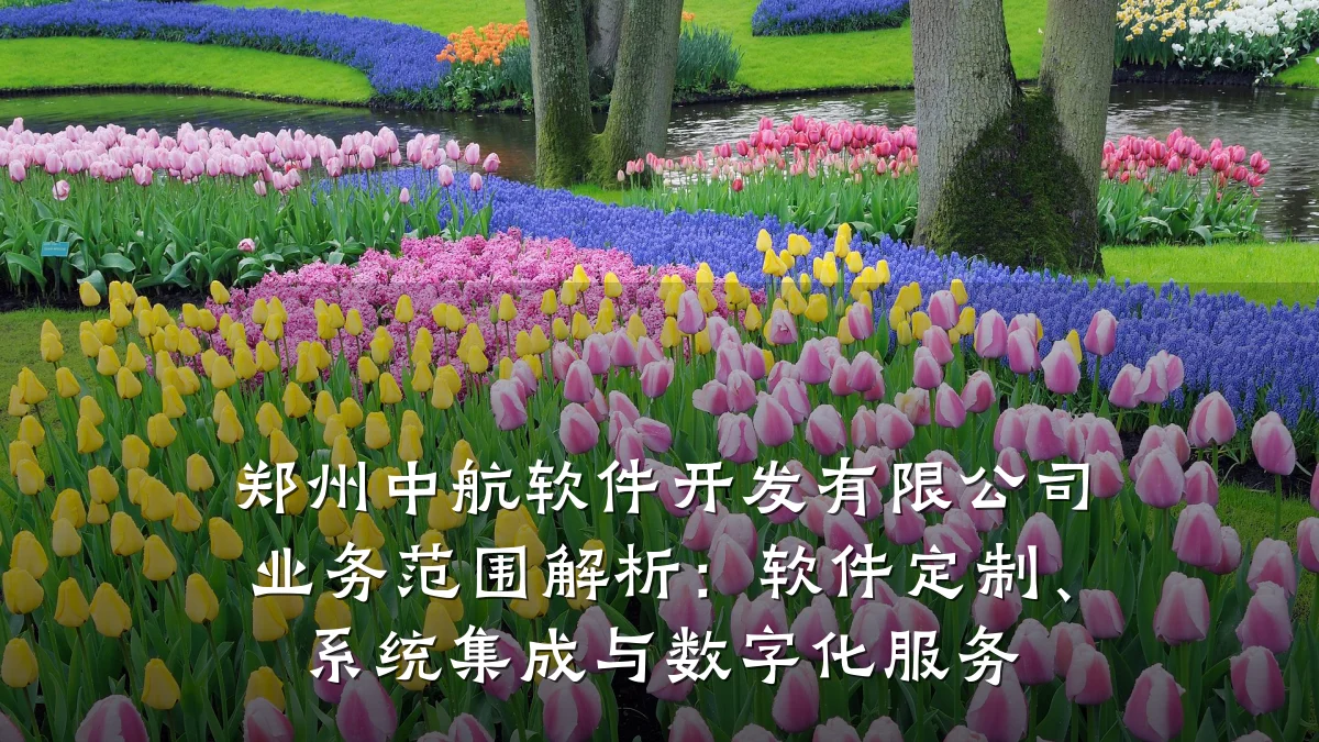 郑州中航软件开发有限公司业务范围解析:软件定制、系统集成与数字化服务