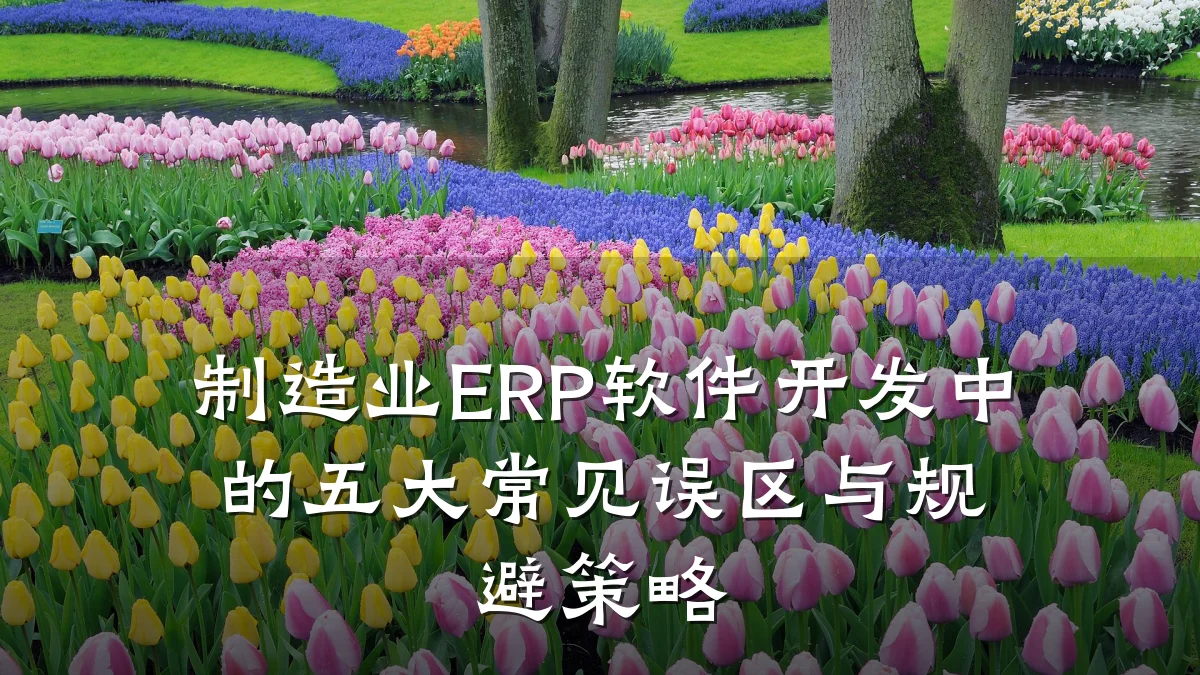 制造业ERP软件开发中的五大常见误区与规避策略