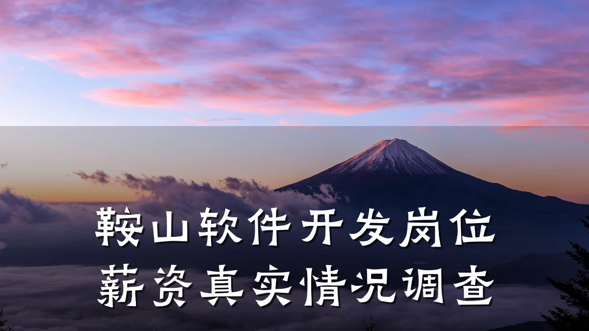 鞍山软件开发岗位薪资真实情况调查