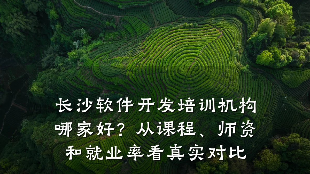长沙软件开发培训机构哪家好?从课程、师资和就业率看真实对比