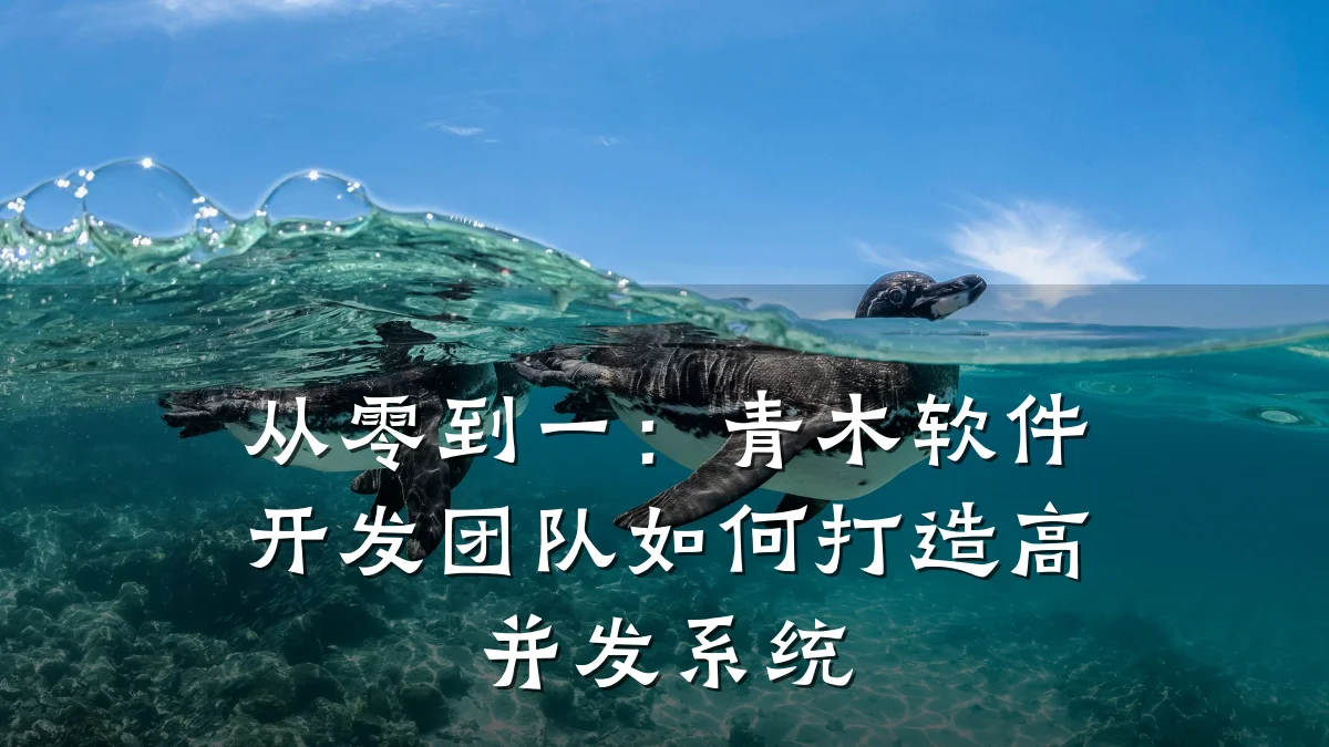 从零到一:青木软件开发团队如何打造高并发系统