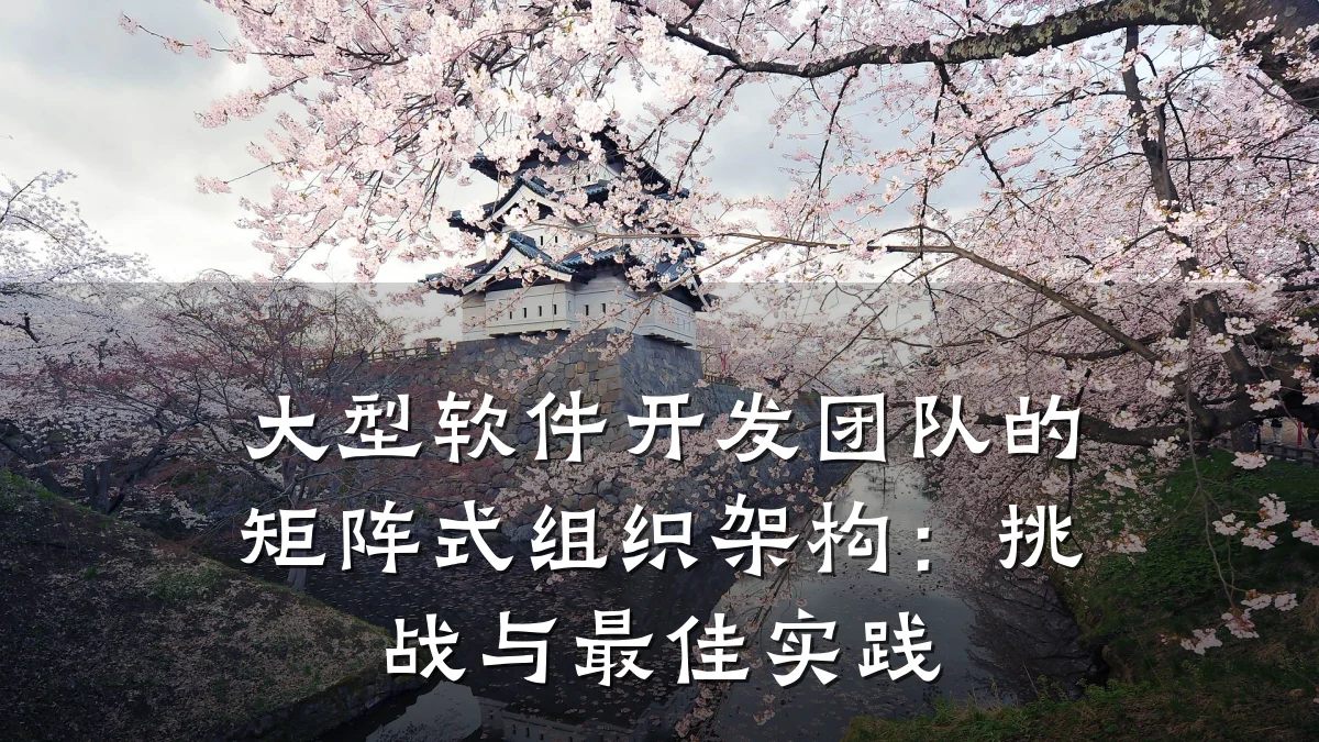 大型软件开发团队的矩阵式组织架构:挑战与最佳实践