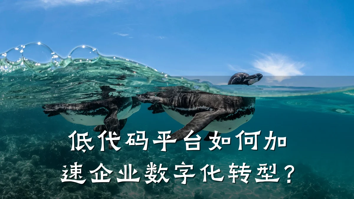 低代码平台如何加速企业数字化转型?
